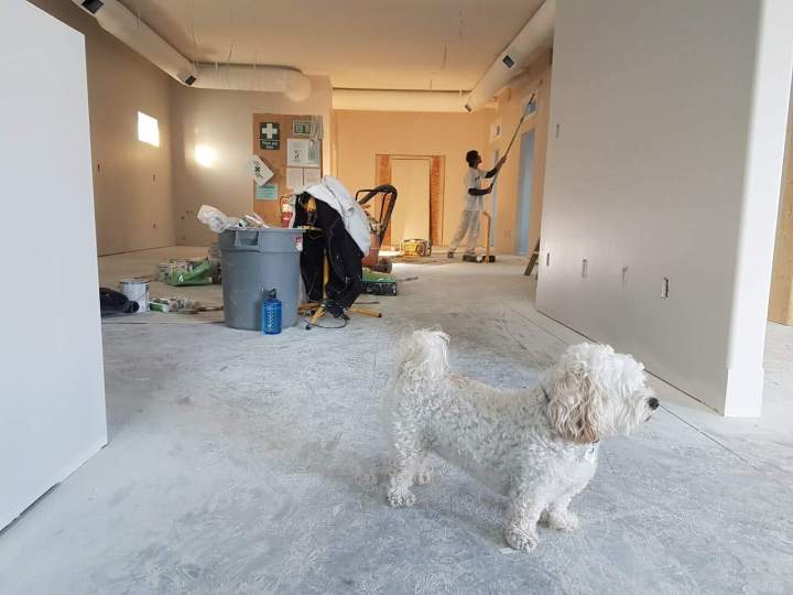 réhabilitation maison 